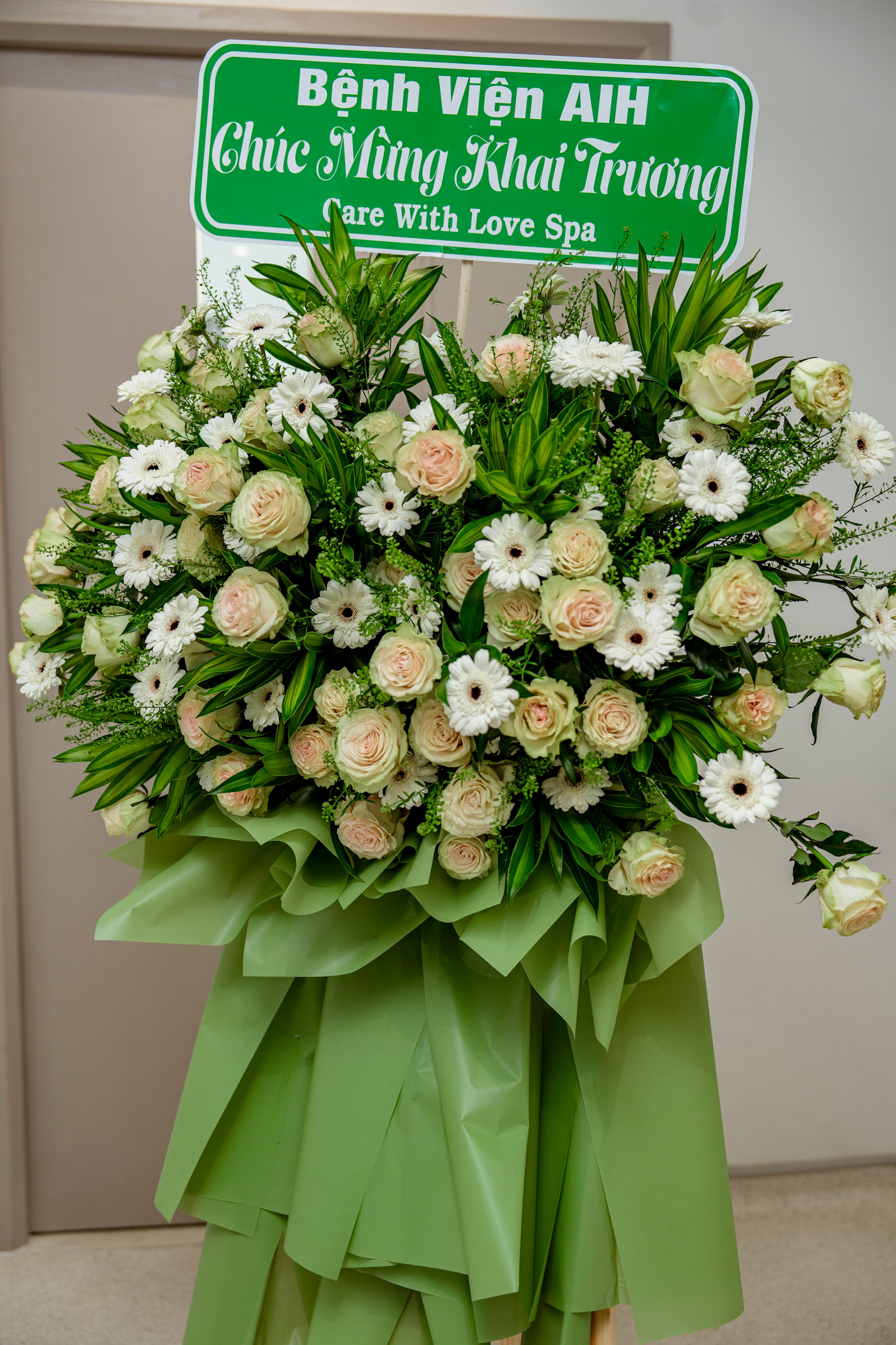 Hình ảnh giới thiệu 14